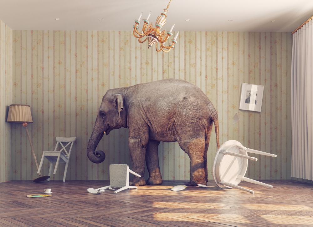 The Elephant in the Room