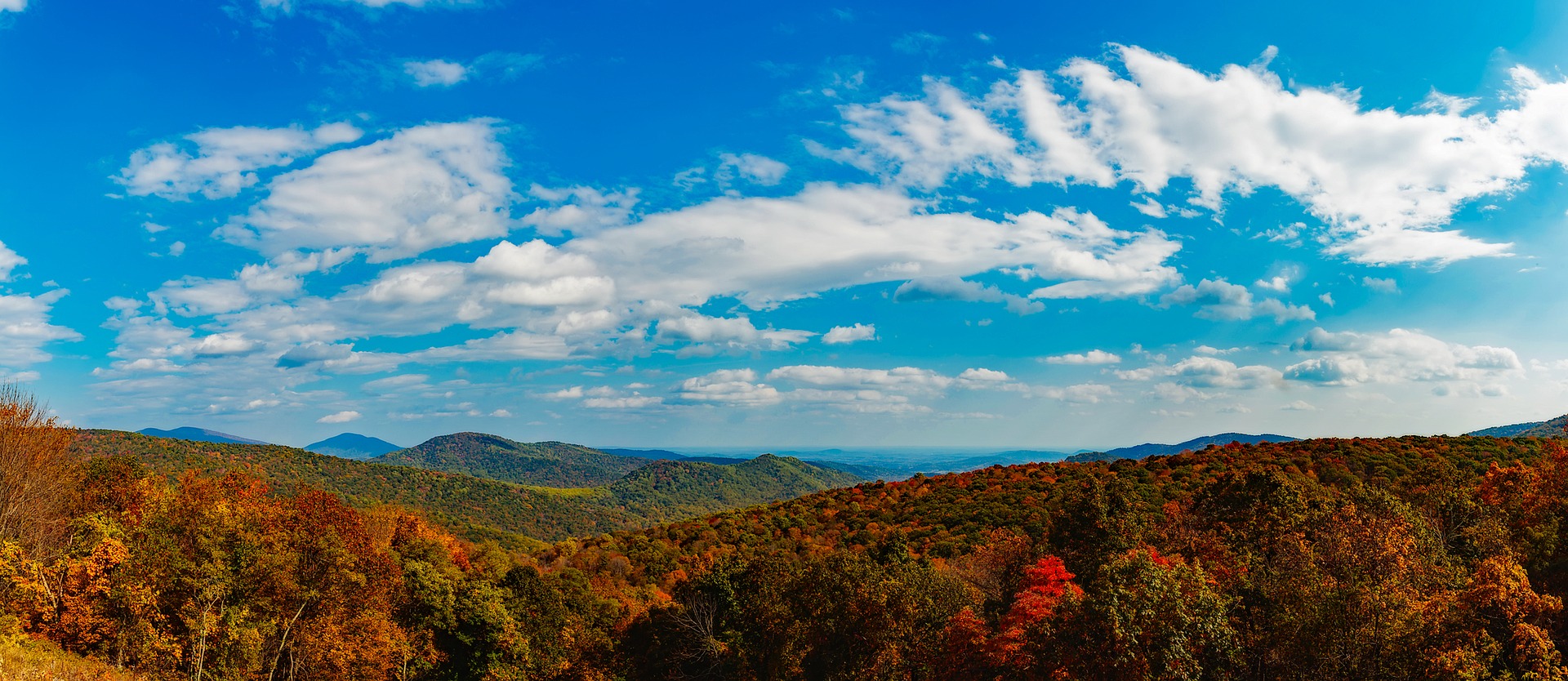 What We Can Learn from a Southern Virginia Solar Project Roundtable