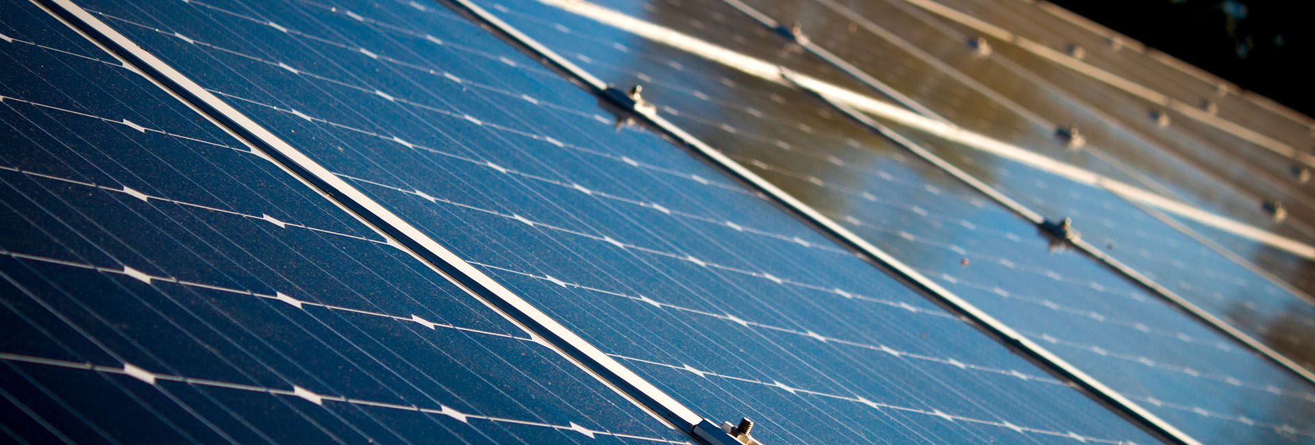 New RPS will Help Solar Bloom in the Garden State