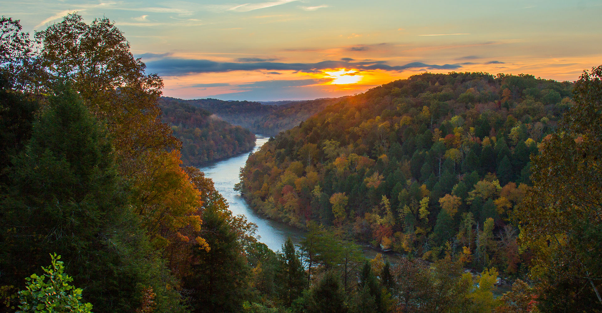 The Nature Conservancy