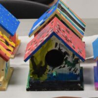Tilden Solar Community Event