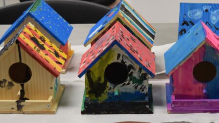 Tilden Birdhouse Event – Local Write-up