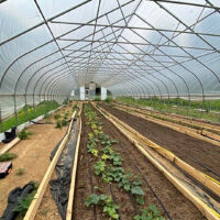 Deep Roots Farm: Equitable Pathways to Regenerative Farming