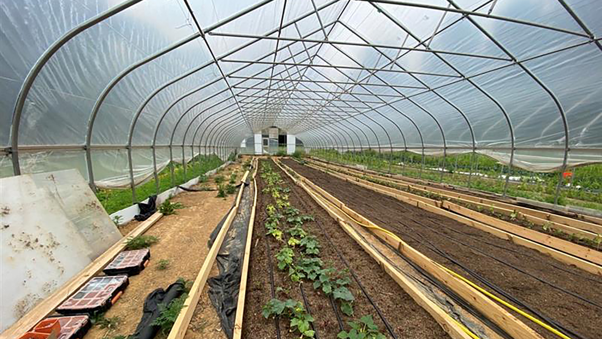 Deep Roots Farm: Equitable Pathways to Regenerative Farming
