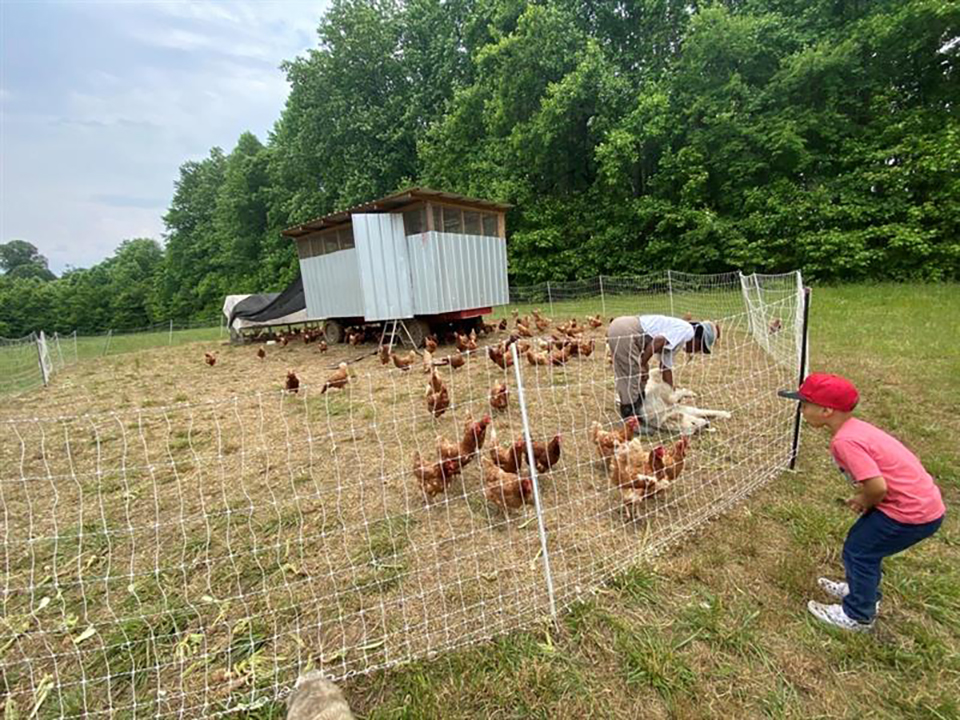 Deep Roots Farm: Equitable Pathways to Regenerative Farming