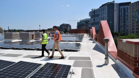 From Intern to Impact: Four Sol Stories