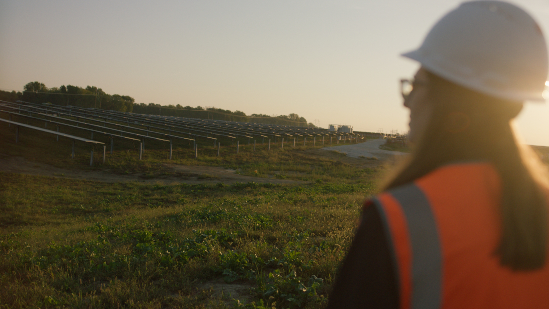 Agrivoltaics in Practice: An Interview with Juliana Isaac