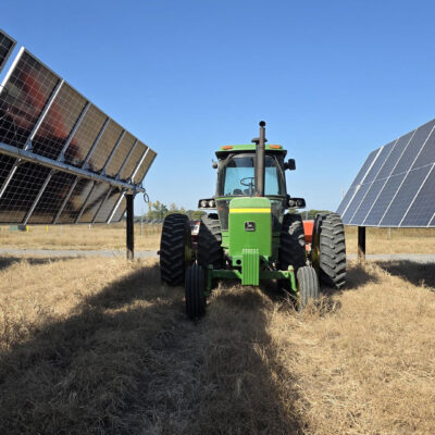 Agrivoltaics in Action: How Sol Systems Is Rewriting the Future of Land, Energy, and Agriculture
