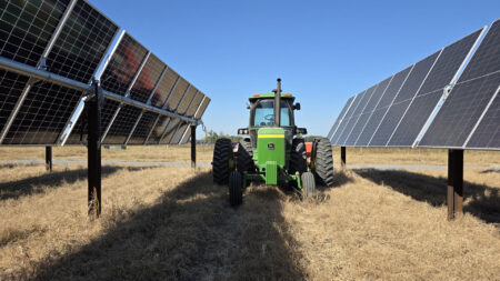 Agrivoltaics in Action: How Sol Systems Is Rewriting the Future of Land, Energy, and Agriculture
