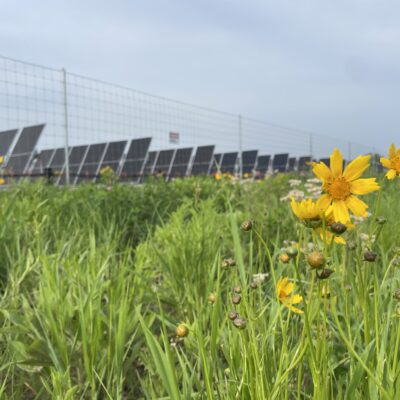 Sol Systems Expands Clean Energy Portfolio with Lumberton Solar Project Acquisition