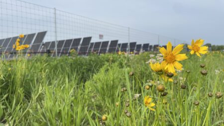 Sol Systems Expands Clean Energy Portfolio with Lumberton Solar Project Acquisition
